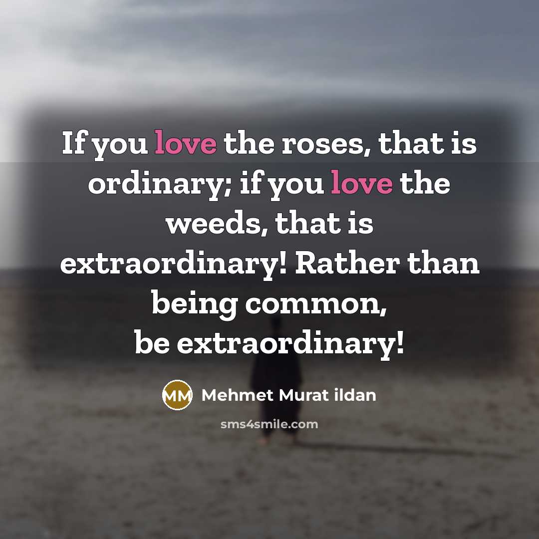 “If you love the roses, that is ordinary; if you…” quote by Mehmet Murat Ildan