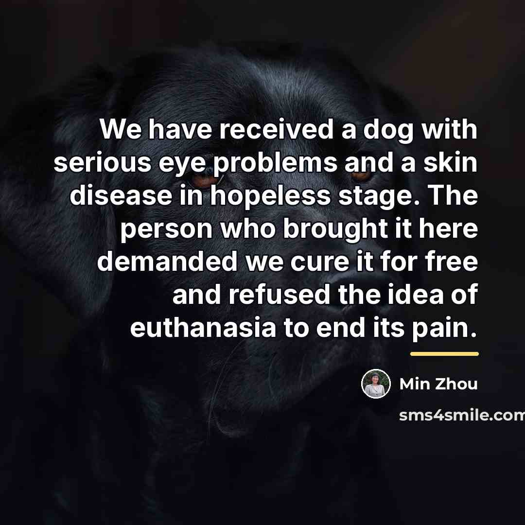“We have received a dog with serious eye problems and…” quote by Min Zhou