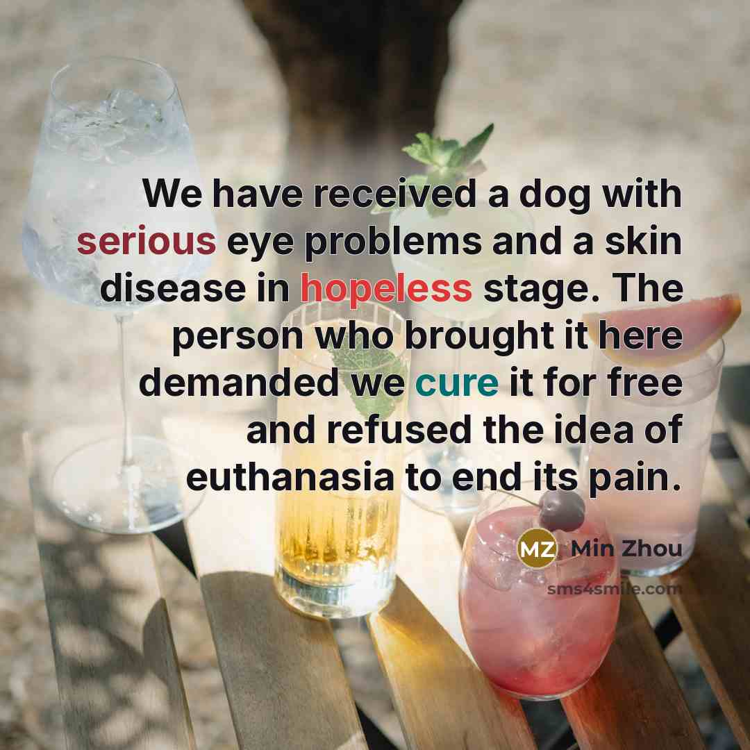 “We have received a dog with serious eye problems and a skin disease in hopeless stage. The person who brought it here demanded we cure it for free and refused the idea of euthanasia to end its pain.” quote by Min Zhou