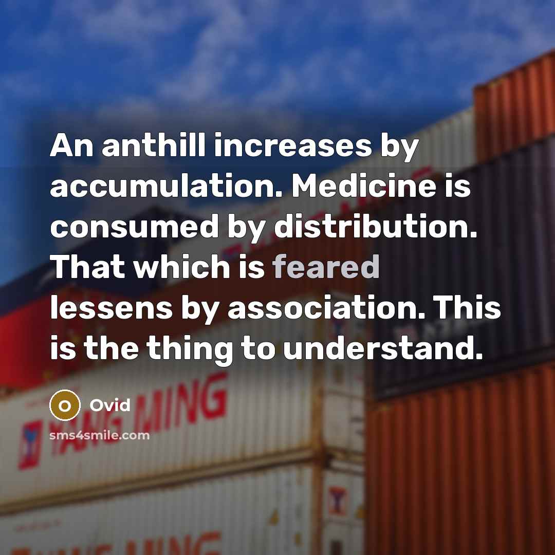 “An anthill increases by accumulation. Medicine is consumed by distribution. That which is feared lessens by association. This is the thing to understand.” quote by Ovid