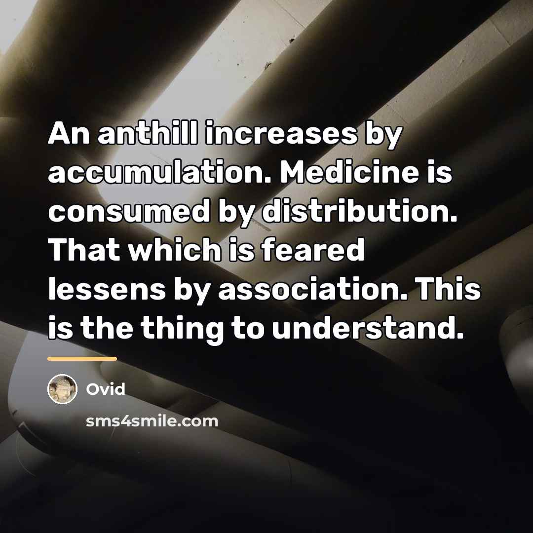 “An anthill increases by accumulation. Medicine is consumed by distribution.…” quote by Ovid