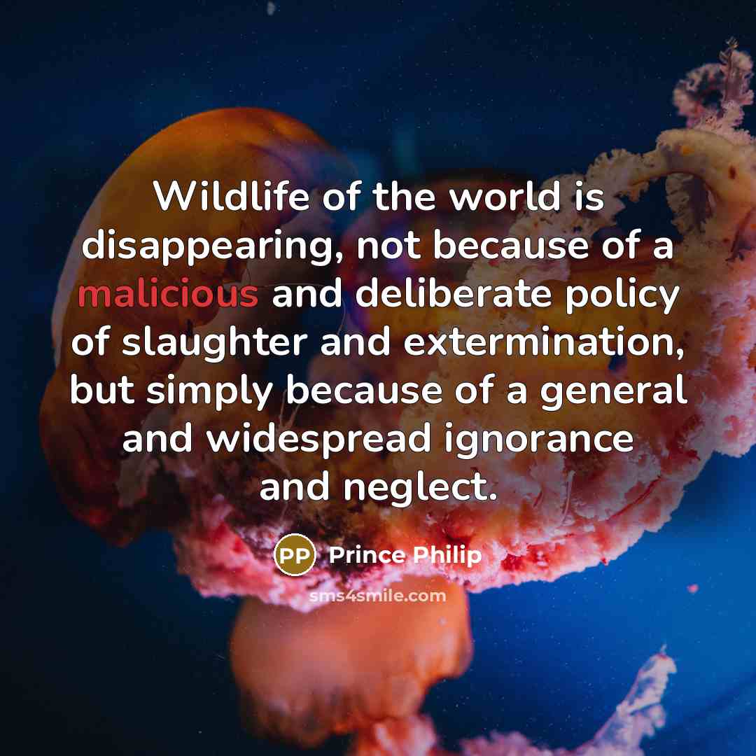 “Wildlife of the world is disappearing, not because of a…” quote by Prince Philip
