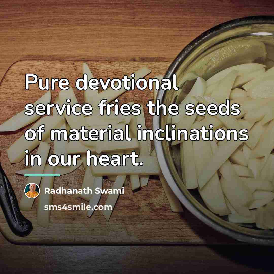 “Pure devotional service fries the seeds of material inclinations in…” quote by Radhanath Swami
