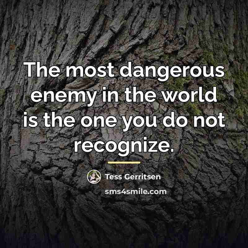 “The most dangerous enemy in the world is the one…” quote by Tess Gerritsen