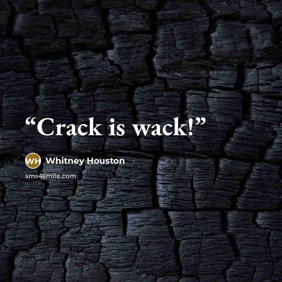 “Crack is wack!” quote by Whitney Houston