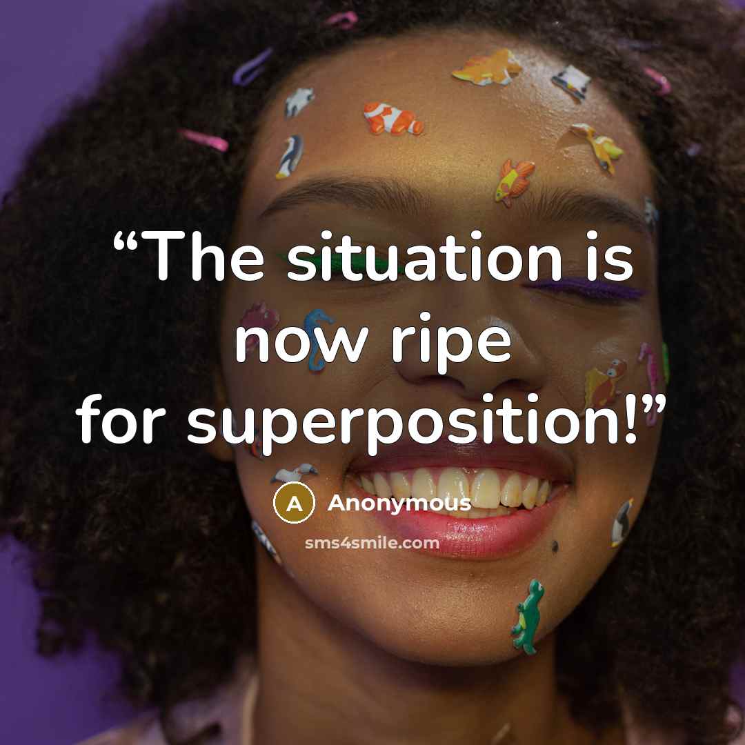 “The situation is now ripe for superposition!” quote by Anonymous