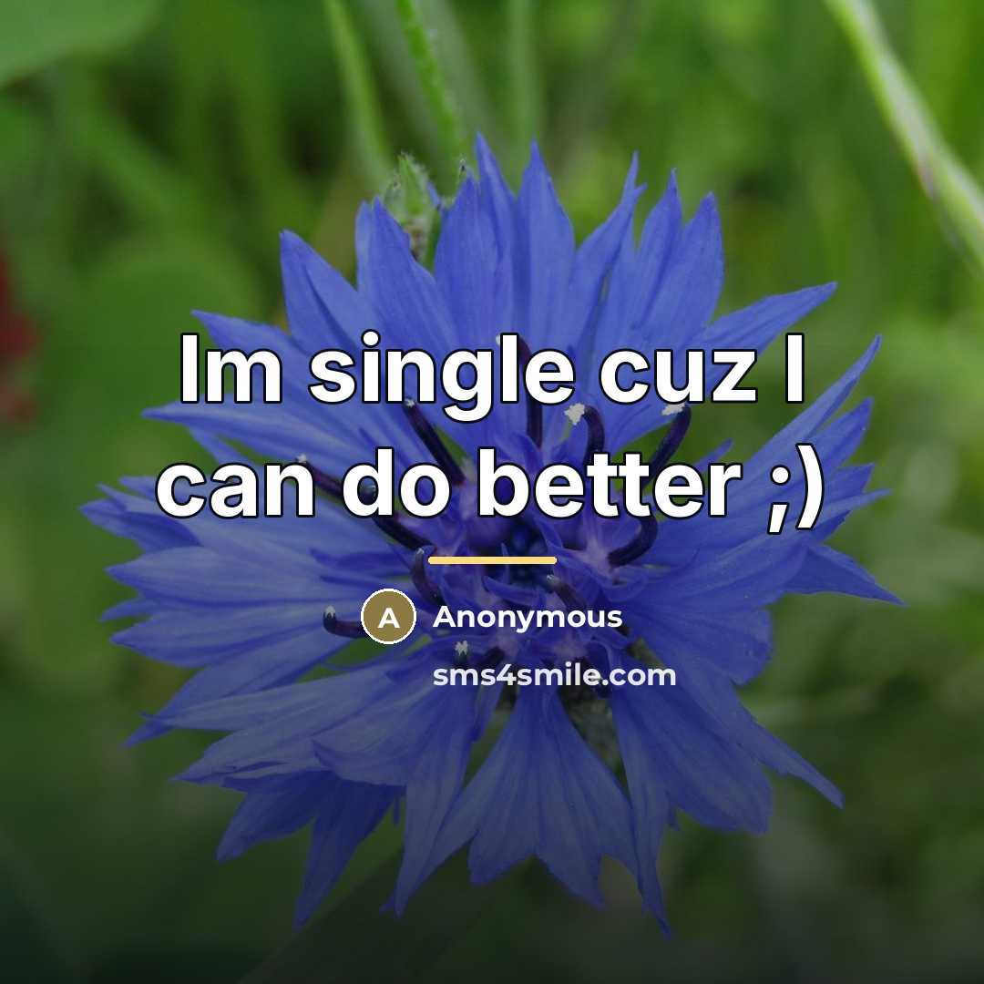 “Im single cuz I can do better ;)…” quote by Anonymous