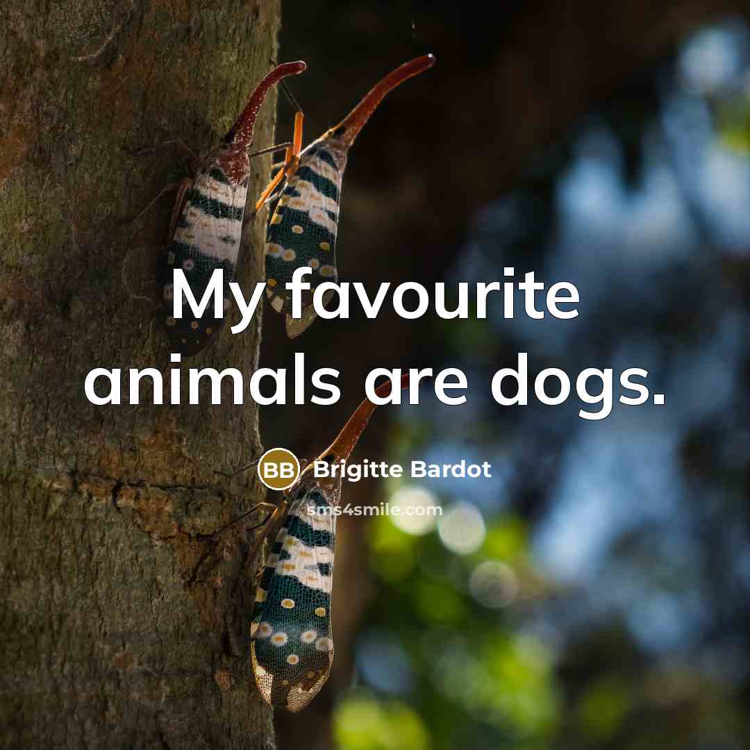 “My favourite animals are dogs.…” quote by Brigitte Bardot