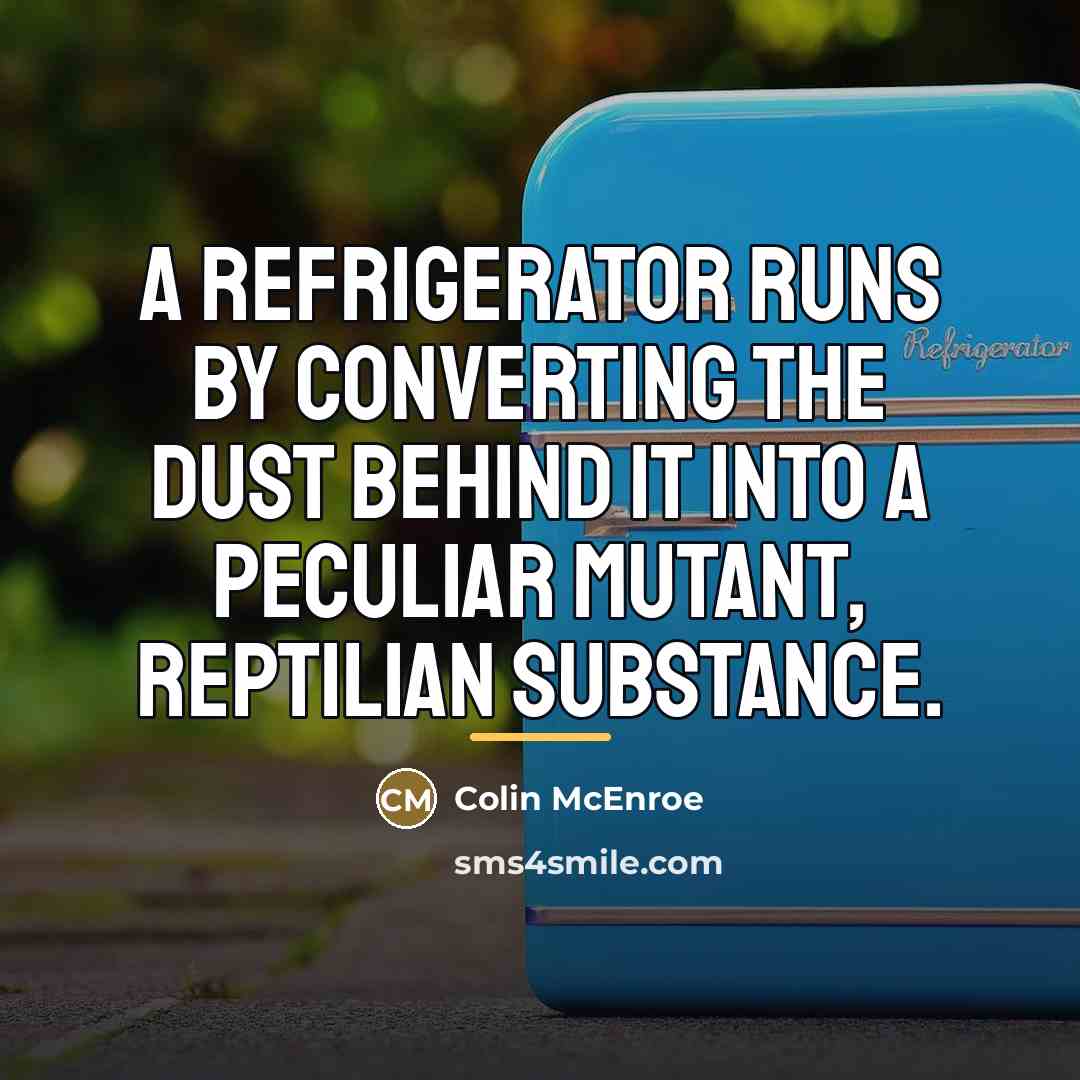 “A refrigerator runs by converting the dust behind it into…” quote by Colin McEnroe