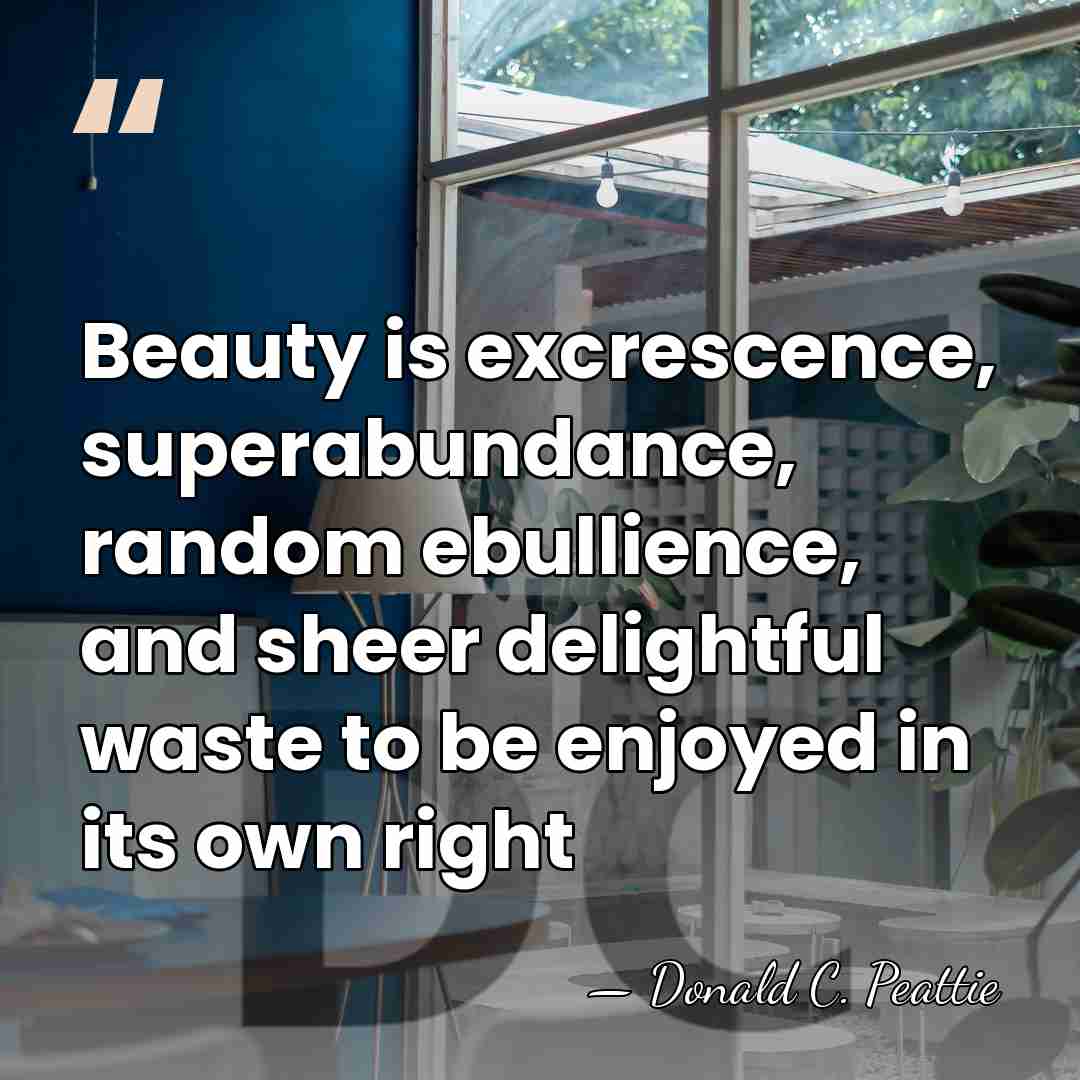 Beauty is excrescence, superabundance, random ebullience, and sheer delightful waste to be&hellip; - Donald C. Peattie