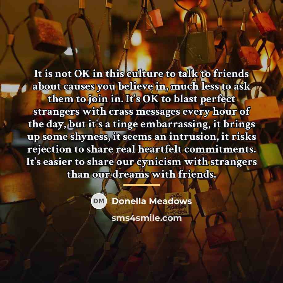 “It is not OK in this culture to talk to…” quote by Donella Meadows