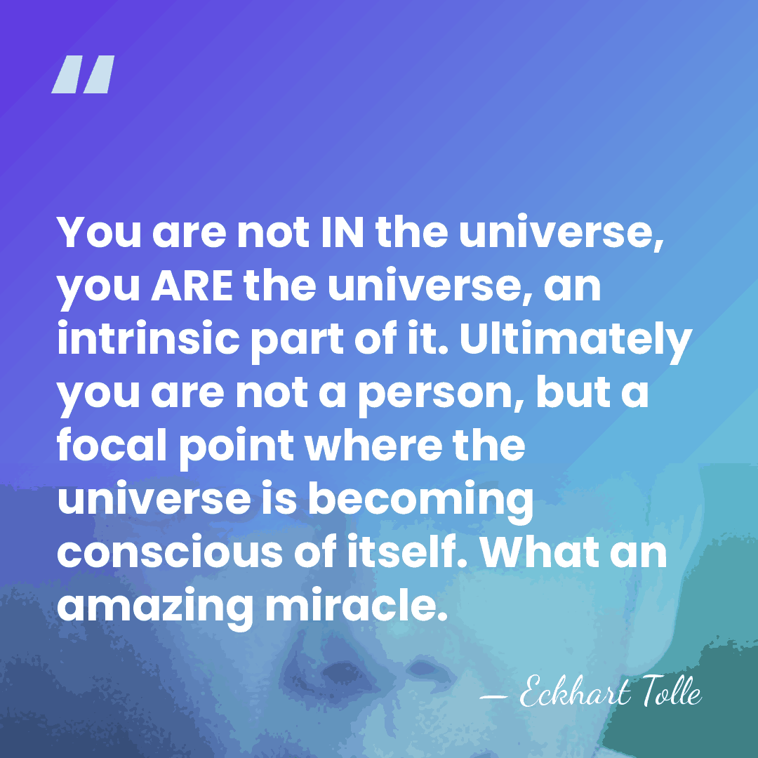 You are not IN the universe, you ARE the universe, an intrinsic&hellip; - Eckhart Tolle