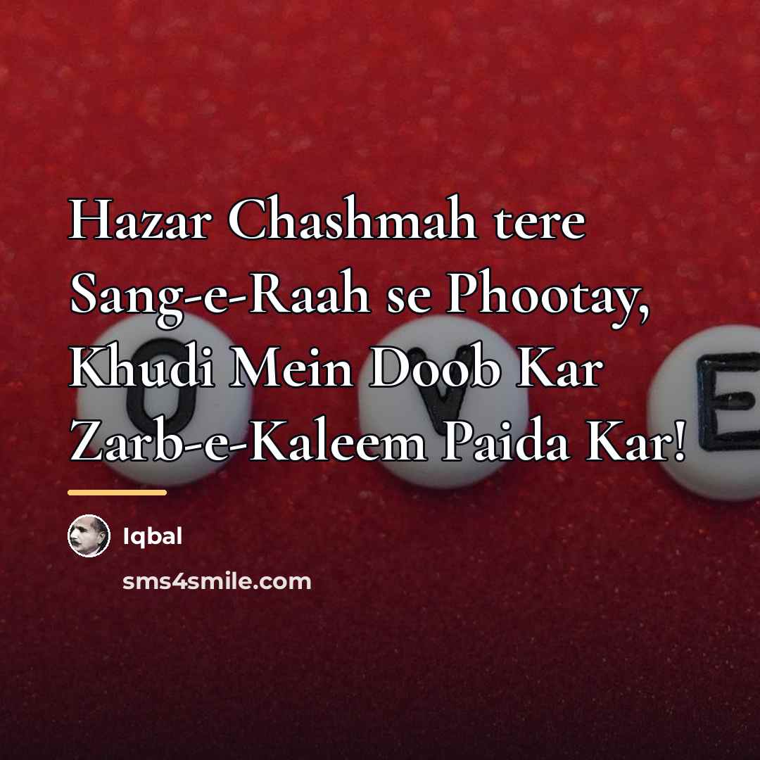 “Hazar Chashmah tere Sang-e-Raah se Phootay, Khudi Mein Doob Kar Zarb-e-Kaleem Paida Kar!” quote by Anonymous