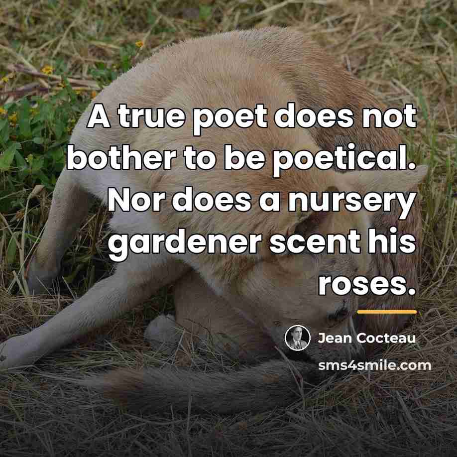 “A true poet does not bother to be poetical. Nor…” quote by Jean Cocteau