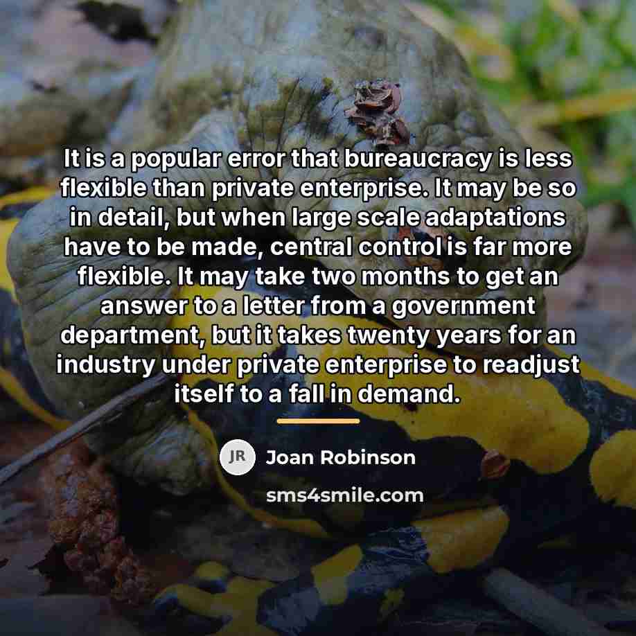 “It is a popular error that bureaucracy is less flexible…” quote by Joan Robinson