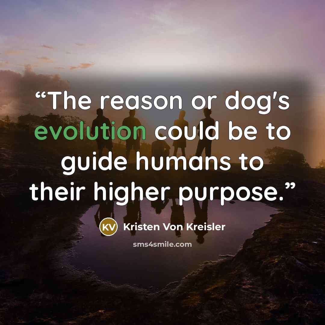 “The reason or dog's evolution could be to guide humans to their higher purpose.” quote by Kristen Von Kreisler
