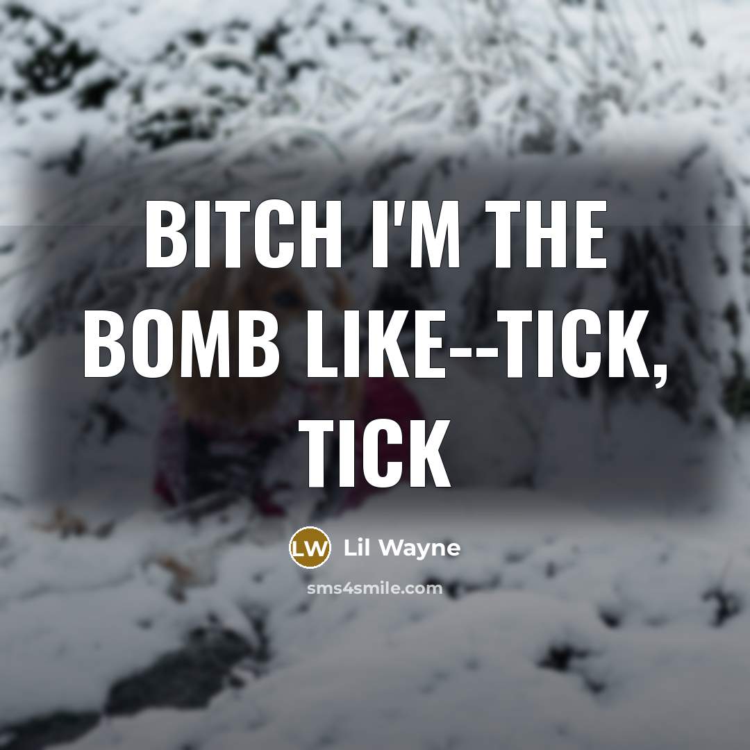 “Bitch I'm the bomb like--tick, tick…” quote by Lil Wayne
