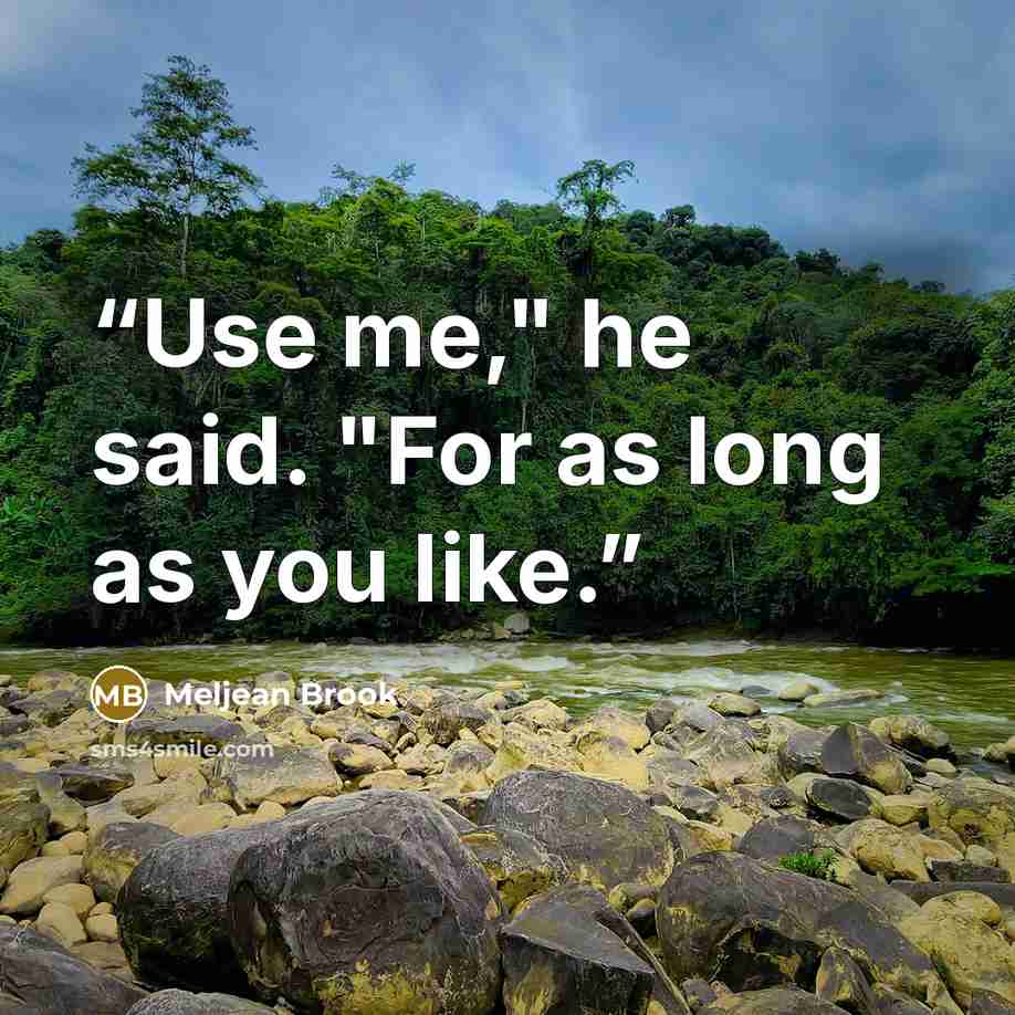 “Use me," he said. "For as long as you like.” quote by Meljean Brook