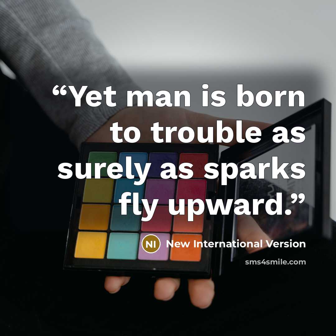 “Yet man is born to trouble as surely as sparks fly upward.” quote by New International Version