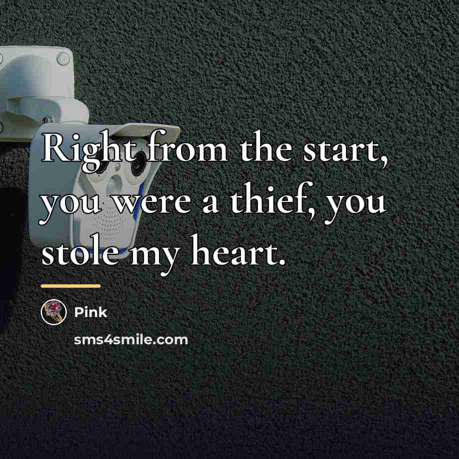 “Right from the start, you were a thief, you stole…” quote by Pink