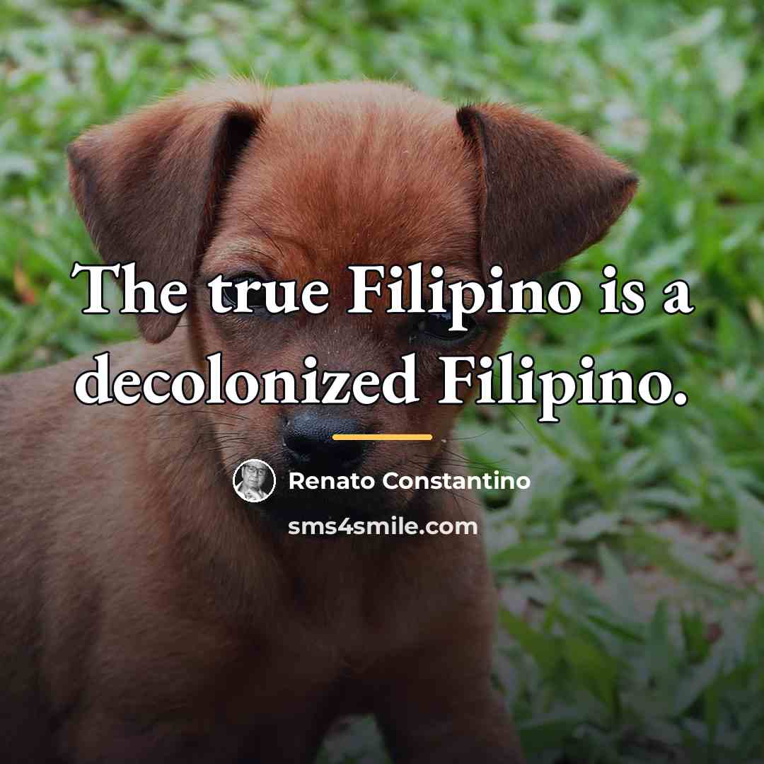 “The true Filipino is a decolonized Filipino.…” quote by Renato Constantino