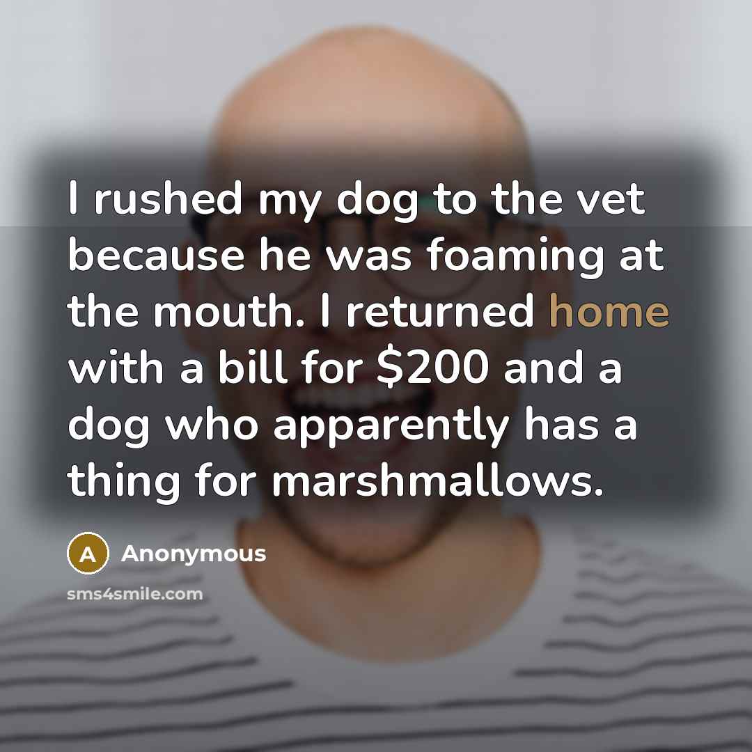 “I rushed my dog to the vet because he was foaming at the mouth. I returned home with a bill for $200 and a dog who apparently has a thing for marshmallows.” quote by Anonymous