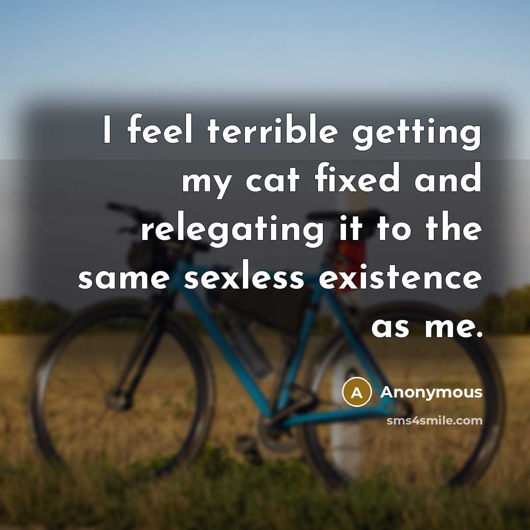 “I feel terrible getting my cat fixed and relegating it to the same sexless existence as me.” quote by Anonymous