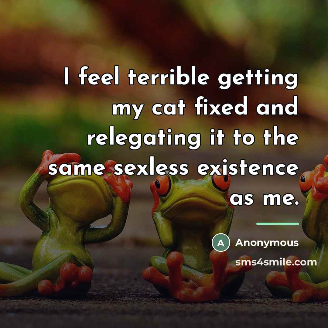 “I feel terrible getting my cat fixed and relegating it…” quote by Anonymous