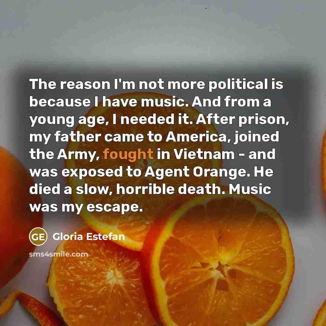 “The reason I'm not more political is because I have…” quote by Gloria Estefan