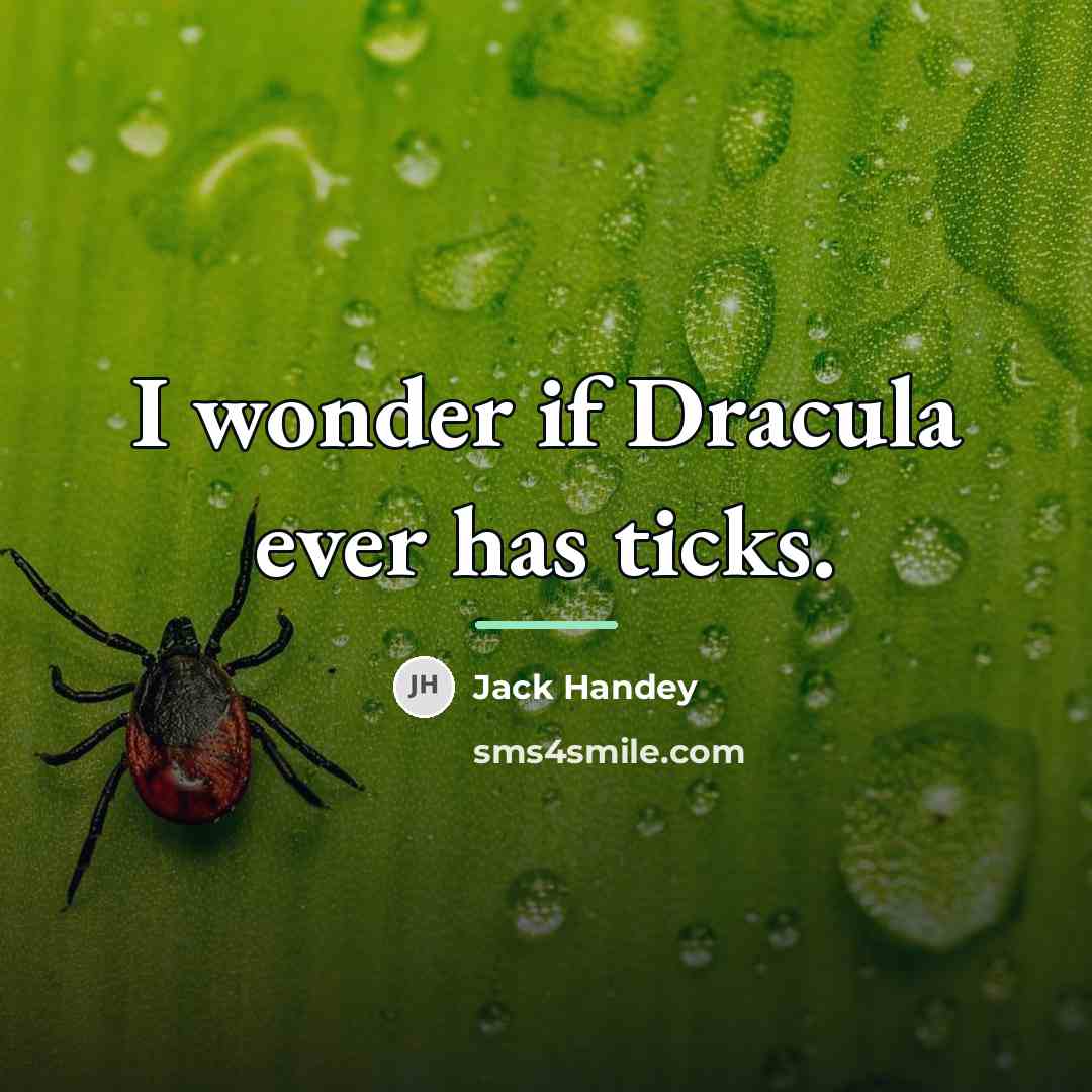 “I wonder if Dracula ever has ticks.…” quote by Jack Handey