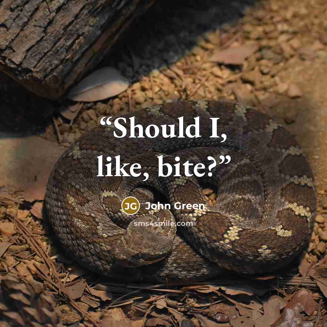 “Should I, like, bite?” quote by John Green