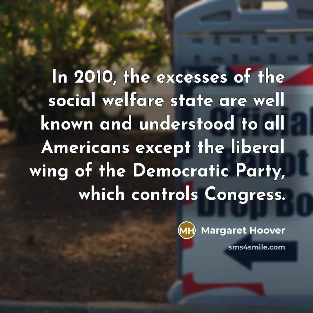 “In 2010, the excesses of the social welfare state are…” quote by Margaret Hoover