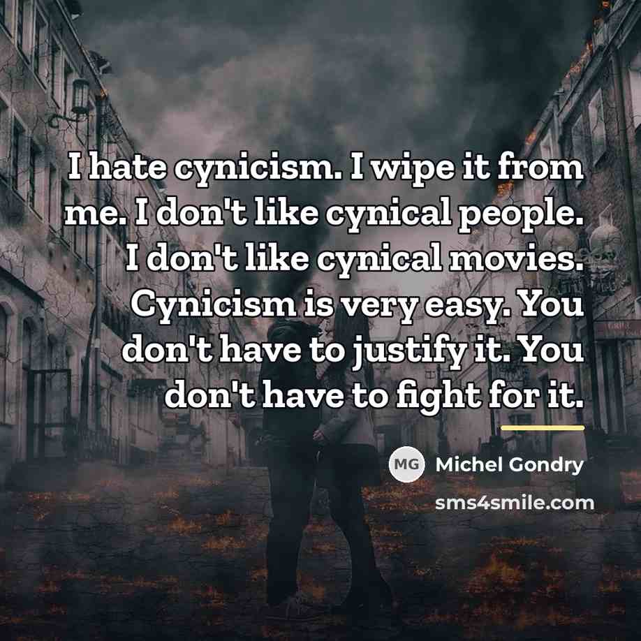 “I hate cynicism. I wipe it from me. I don't…” quote by Michel Gondry
