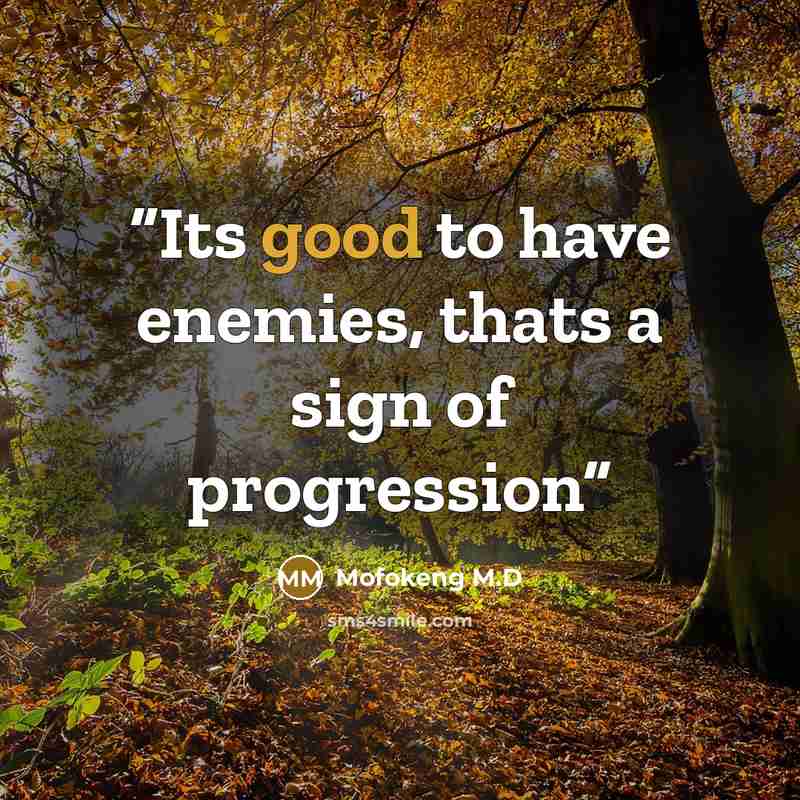 “Its good to have enemies, thats a sign of progression” quote by Mofokeng M.D