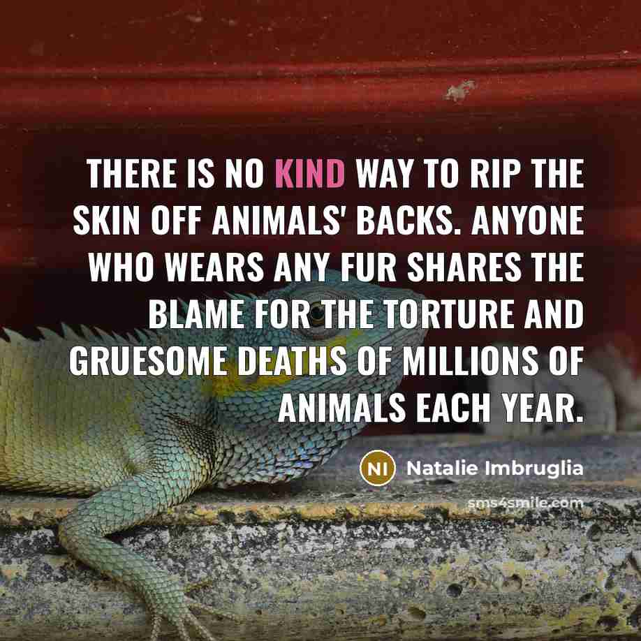 “There is no kind way to rip the skin off…” quote by Natalie Imbruglia