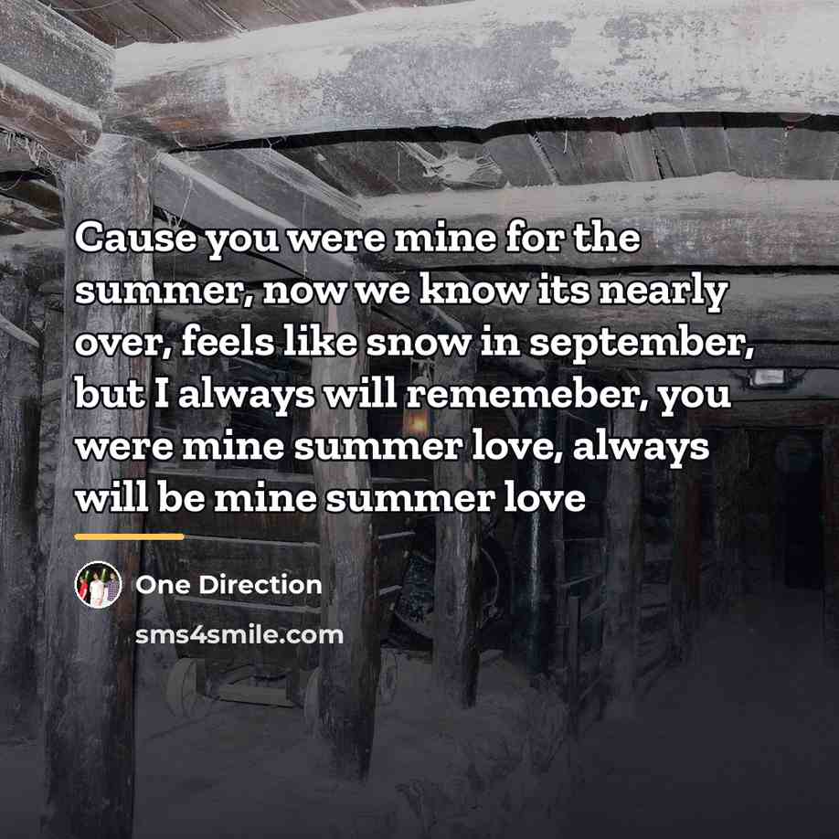 “Cause you were mine for the summer, now we know…” quote by One Direction