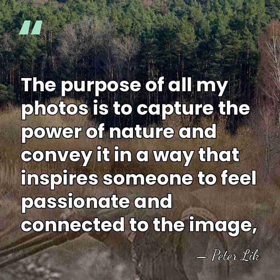 The purpose of all my photos is to capture the power of&hellip; - Peter Lik