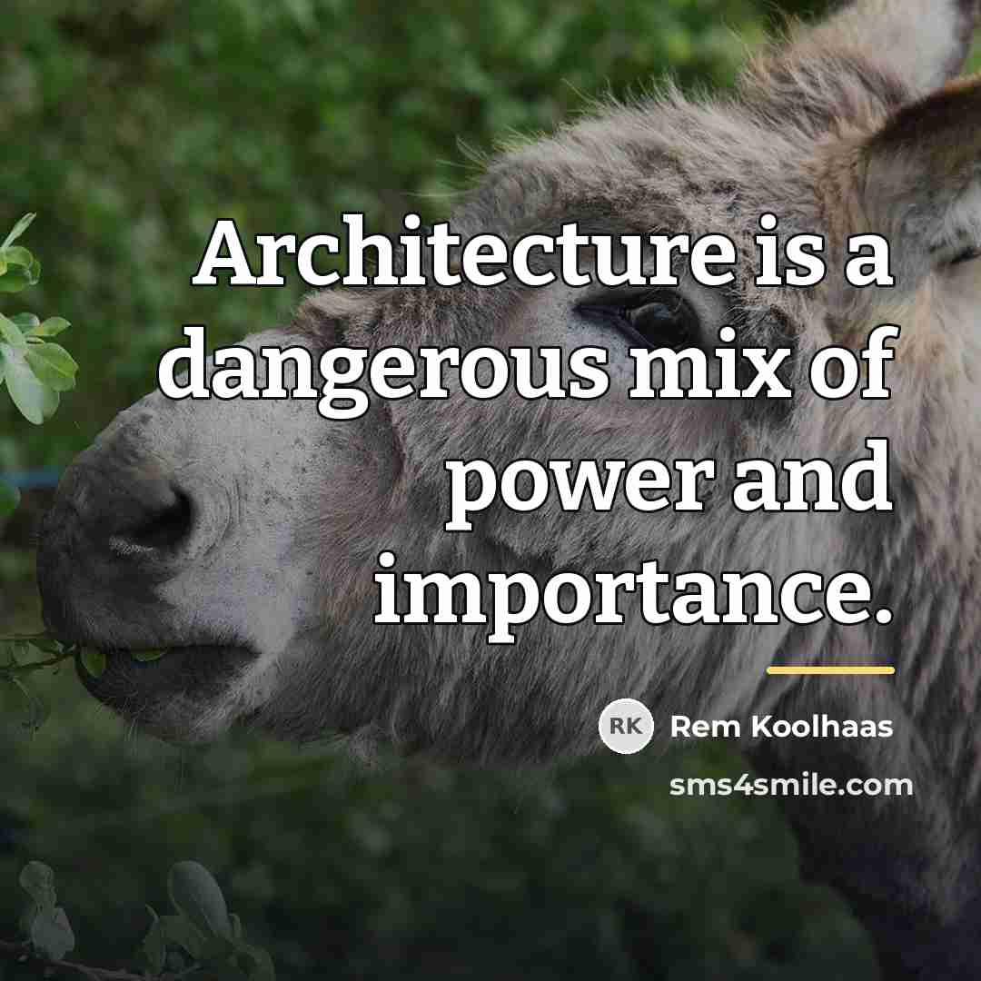 “Architecture is a dangerous mix of power and importance.…” quote by Rem Koolhaas