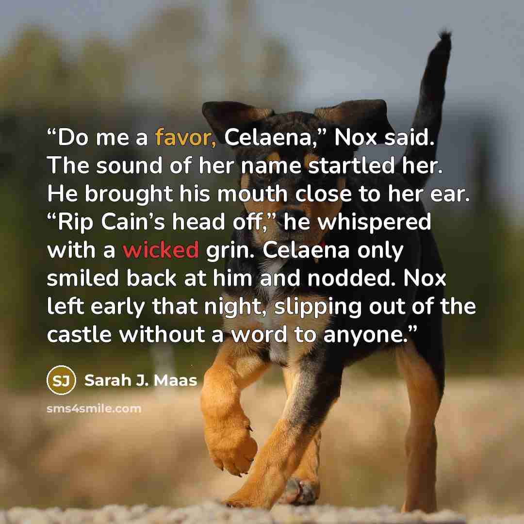 “Do me a favor, Celaena,” Nox said. The sound of her name startled her. He brought his mouth close to her ear. “Rip Cain’s head off,” he whispered with a wicked grin. Celaena only smiled back at him and nodded. Nox left early that night, slipping out of the castle without a word to anyone.” quote by Sarah J. Maas