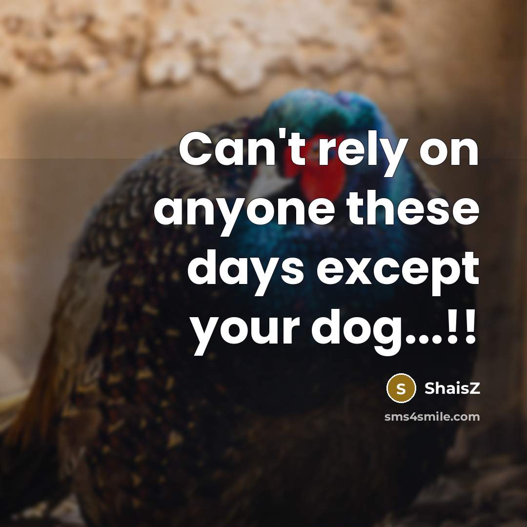 “Can't rely on anyone these days except your dog...!!” quote by ShaisZ