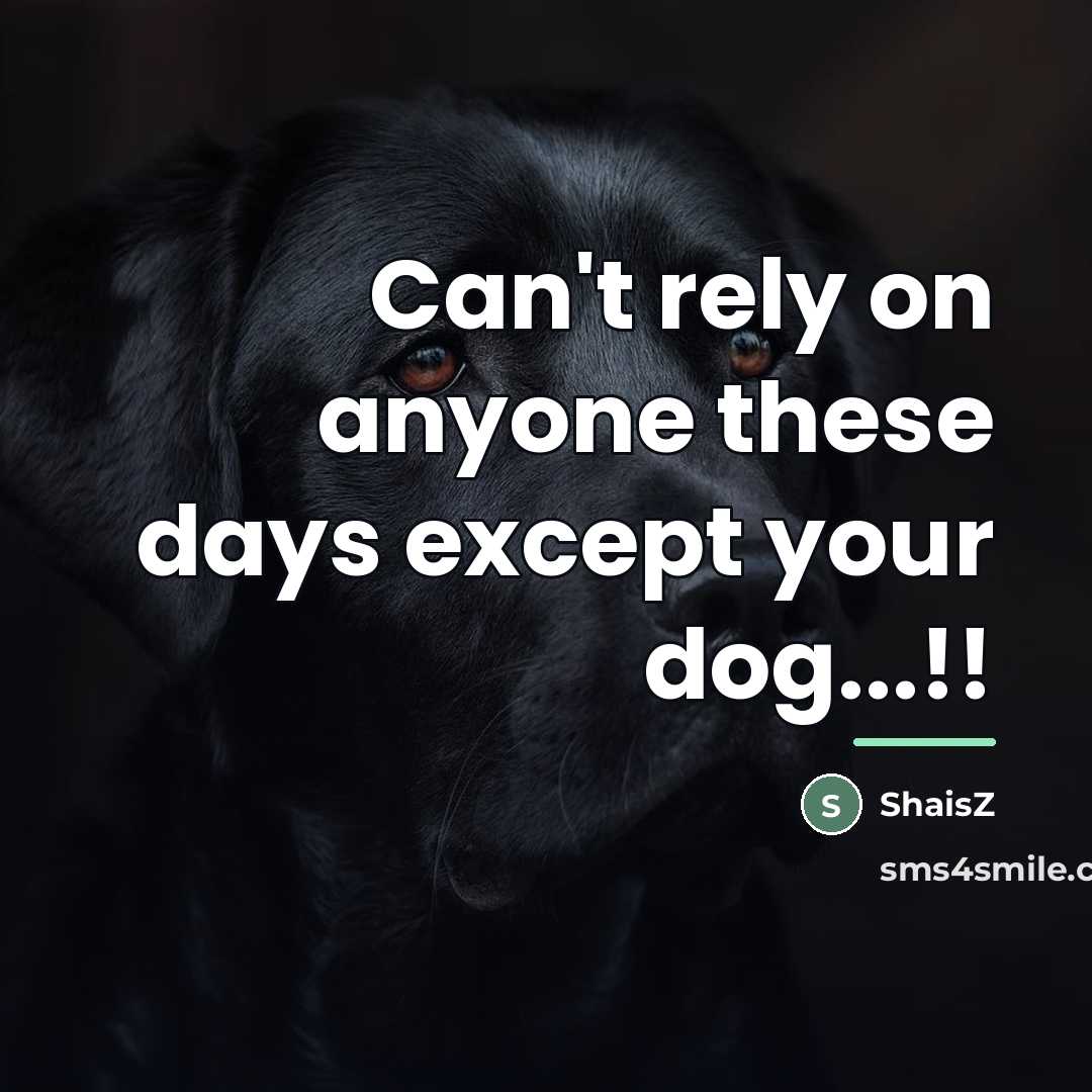 “Can't rely on anyone these days except your dog...!!…” quote by ShaisZ