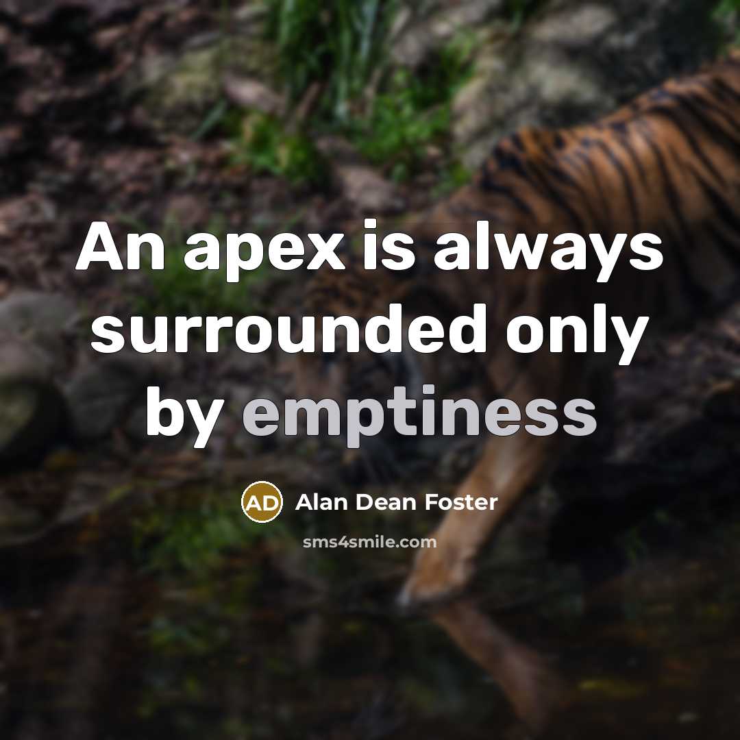 “An apex is always surrounded only by emptiness…” quote by Alan Dean Foster