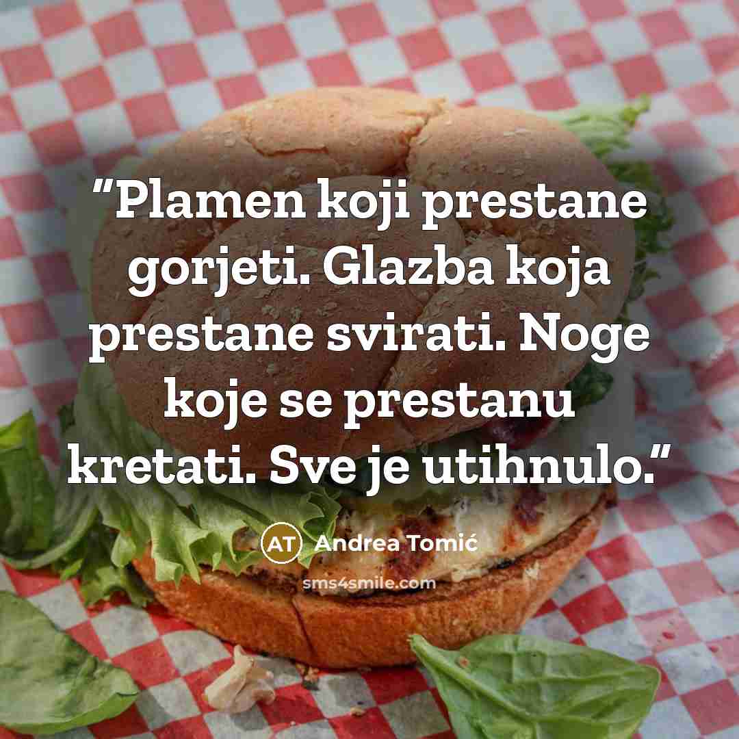 “Plamen koji prestane gorjeti. Glazba koja prestane svirati. Noge koje se prestanu kretati. Sve je utihnulo.” quote by Andrea Tomić