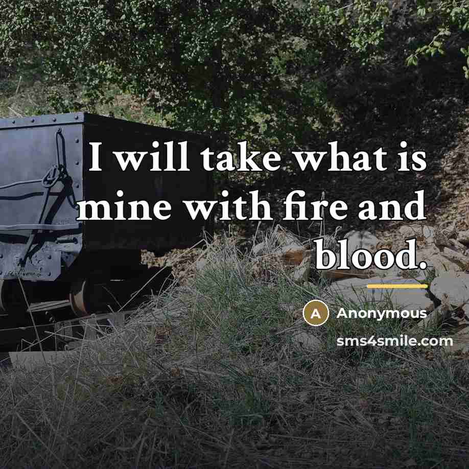 “I will take what is mine with fire and blood.…” quote by Anonymous
