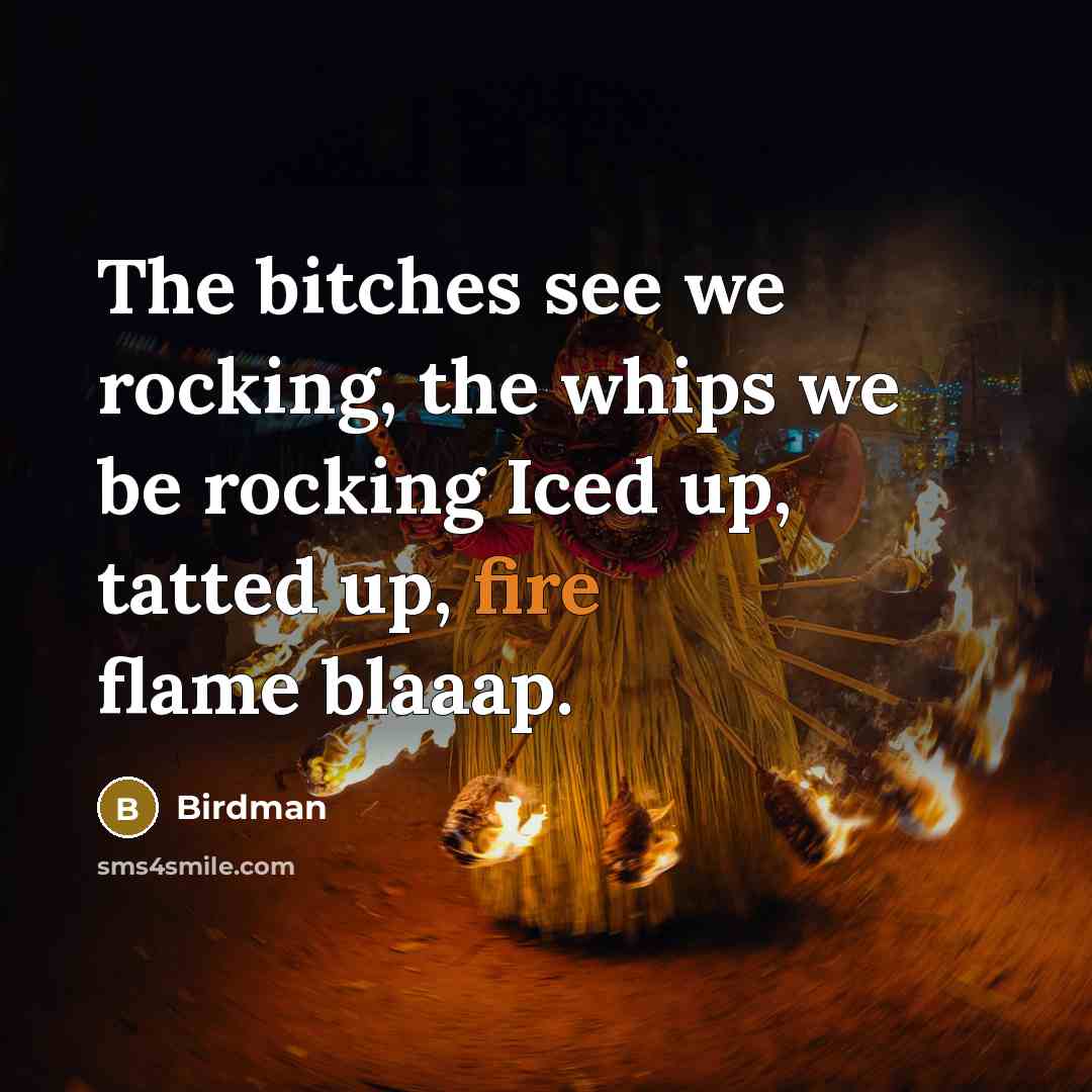 “The bitches see we rocking, the whips we be rocking…” quote by Birdman