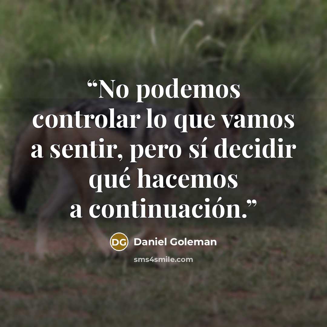 “No podemos controlar lo que vamos a sentir, pero sí decidir qué hacemos a continuación.” quote by Daniel Goleman