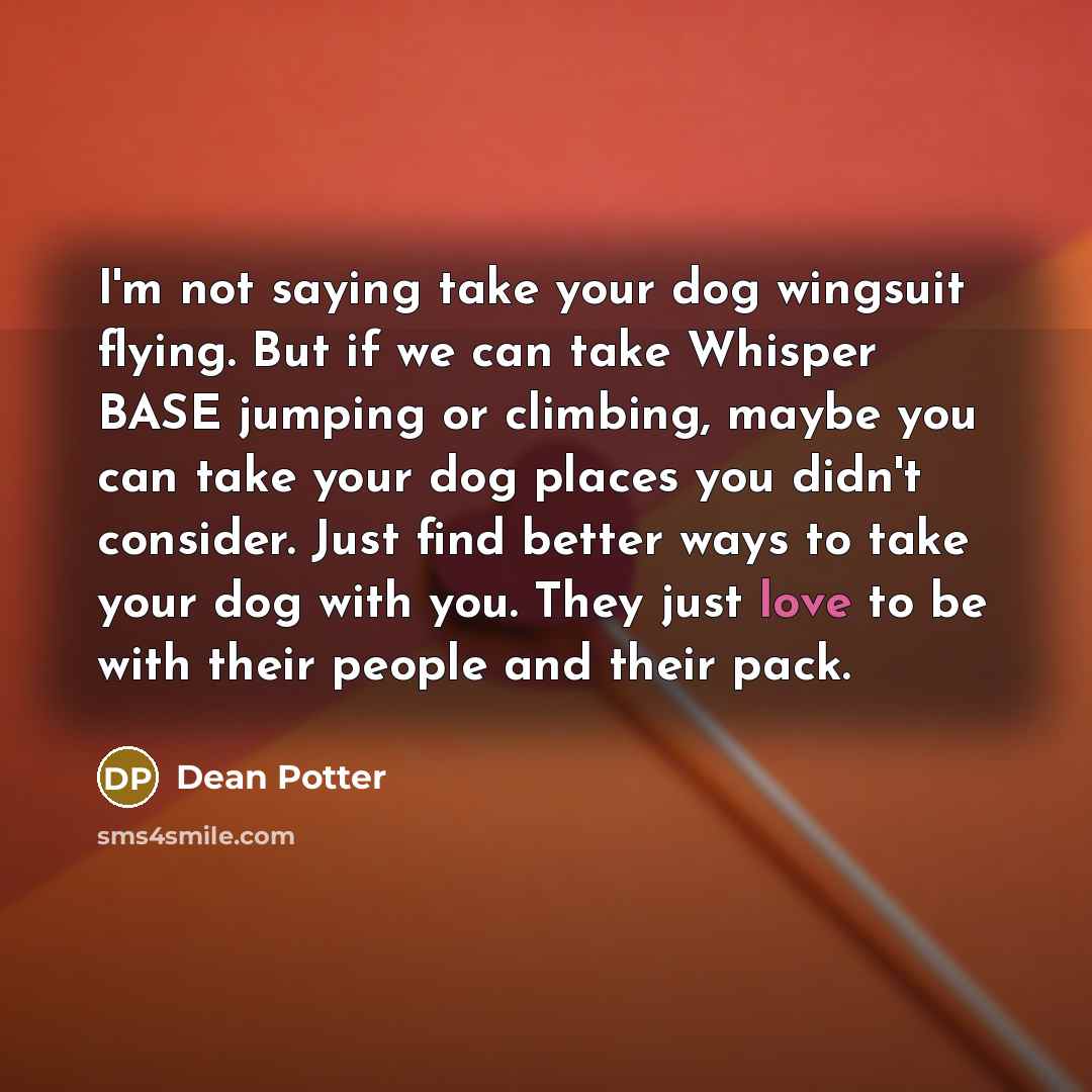 “I'm not saying take your dog wingsuit flying. But if…” quote by Dean Potter