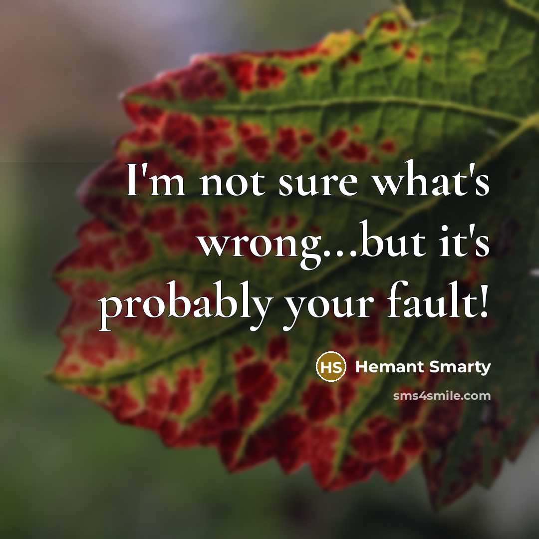 “I'm not sure what's wrong...but it's probably your fault!…” quote by Hemant Smarty