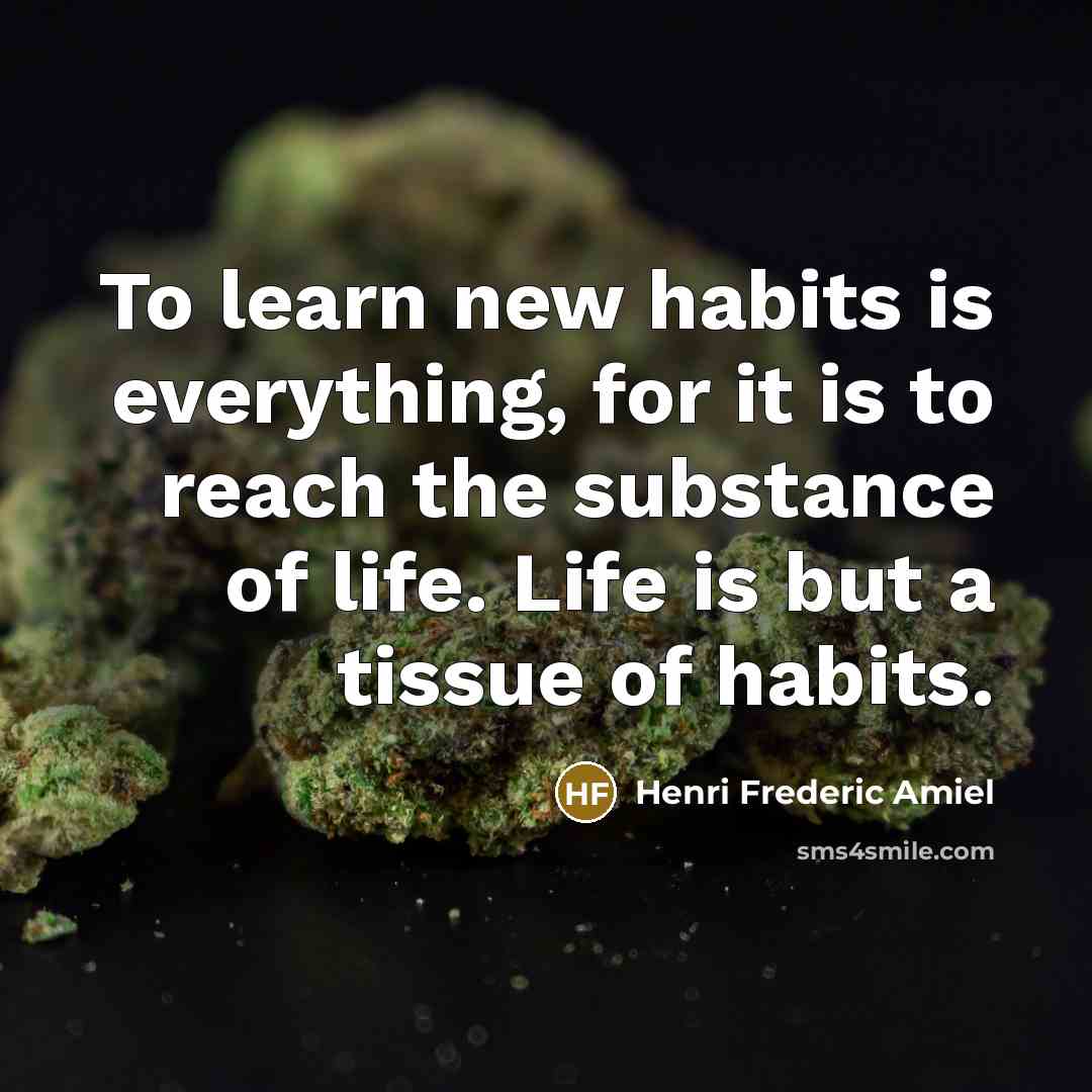 “To learn new habits is everything, for it is to…” quote by Henri Frederic Amiel