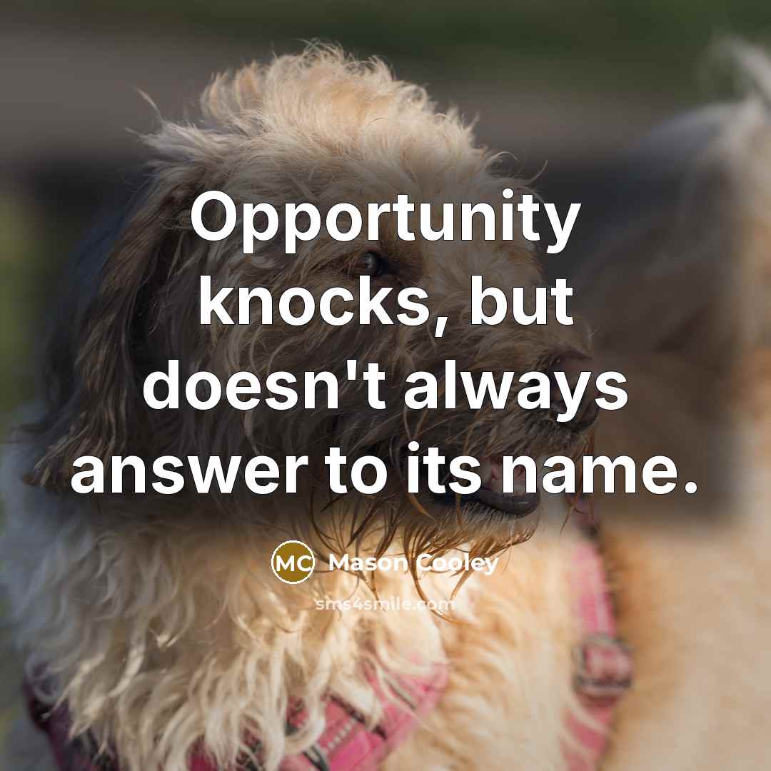 “Opportunity knocks, but doesn't always answer to its name.” quote by Mason Cooley